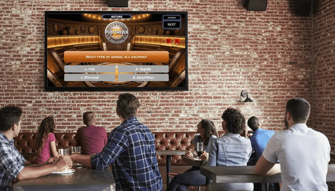 Group playing the Pub Trivia game together in a pub setting